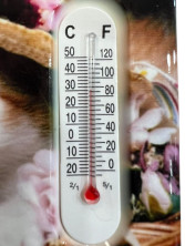 FS-053 Магнит с термометром