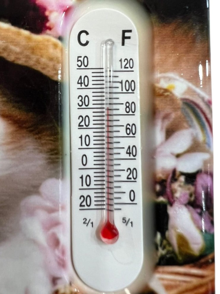 FS-053 Магнит с термометром