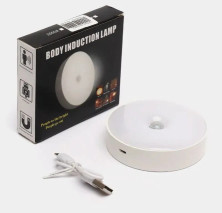 TV-478  Светильник  Body Induction Lamp настенный