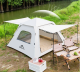 TDD-012 Палатка туристическая Ziyouke
