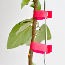 IN-191 Лента для тапенера