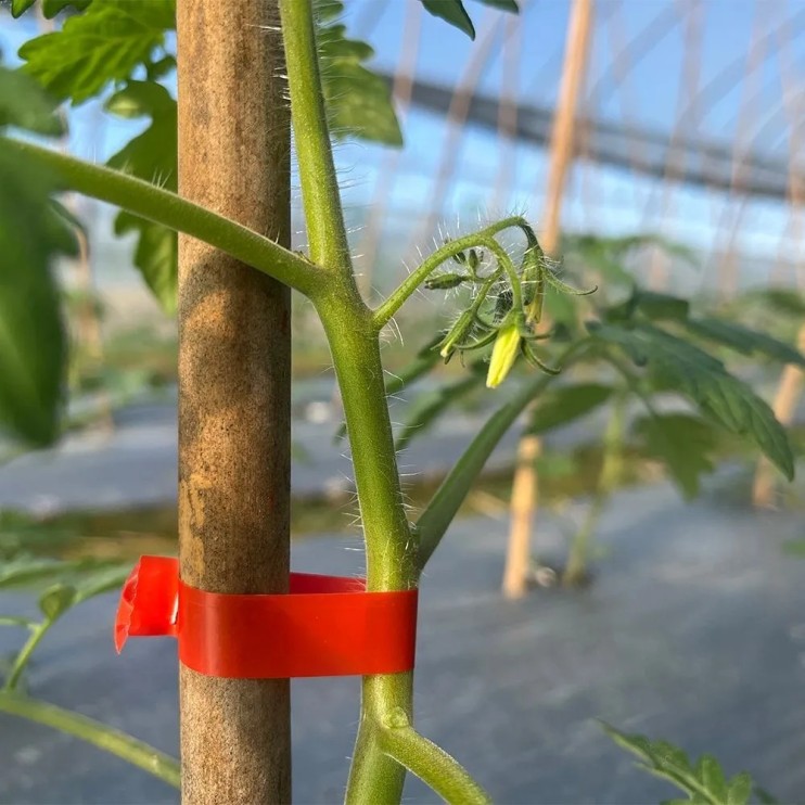 IN-191 Лента для тапенера