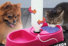RZ-637 Поилка Pet Feeder для животных 