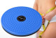 MS-302 Тренажер-диск Waisttwisting Type-801 вращающийся