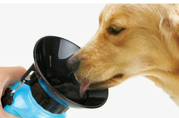 RZ-172 Поилка Aqua Dog для собак