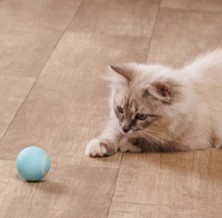 TV-465 Мячик Automatic Cat Teaser Ball для питомцев интерактивный