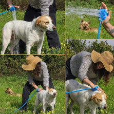 RZ-110 Щетка душ Pet Bathing Tool для собак