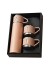 PS-003 Термос Vacuum Flask Set с кружками