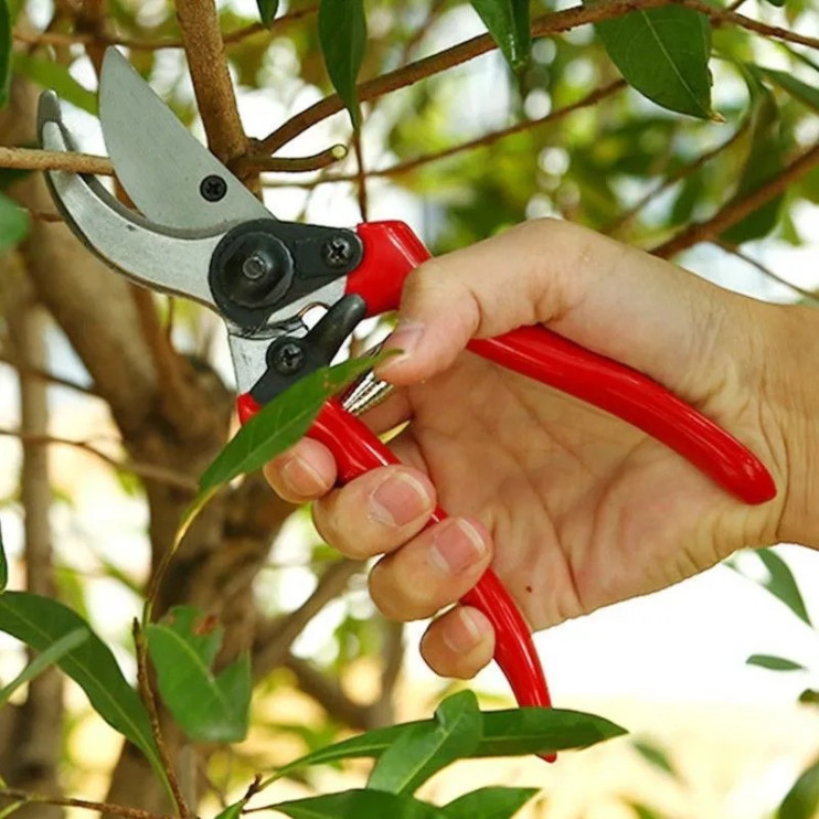 RZ-046 нож-секатор Pruner садовый