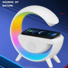 FNL-800 Зарядное устройство Led Wireless Speaker беспроводное