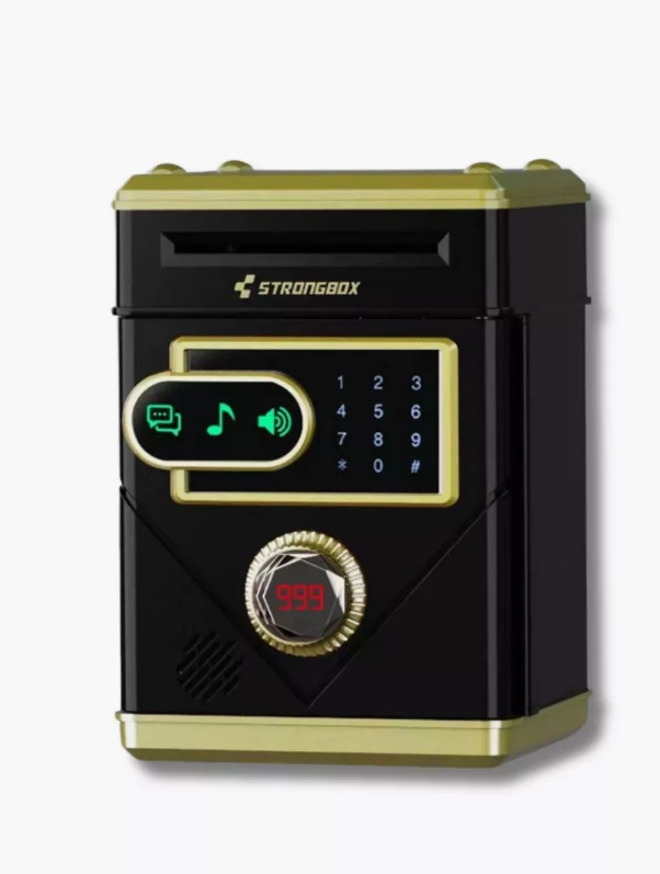 DT-245 Копилка-сейф