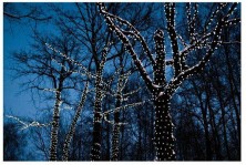 NCH-030 Гирлянда светодиодная катушка 50 м, белый холодный свет с  пультом