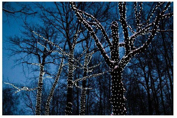 NCH-030 Гирлянда светодиодная катушка 50 м, белый холодный свет с  пультом