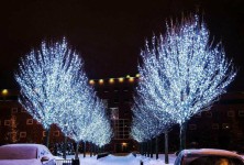 NCH-030 Гирлянда светодиодная катушка 50 м, белый холодный свет с  пультом