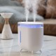 HM-182 Увлажнитель воздуха Double Spray Humidifier с ночником