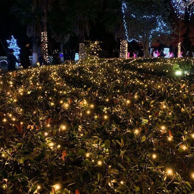 NCH-031 Гирлянда светодиодная катушка 50м GOLD с пультом