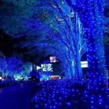 NCH-037 Гирлянда светодиодная катушка 50м, синий с пультом