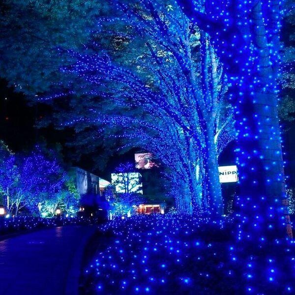 NCH-037 Гирлянда светодиодная катушка 50м, синий с пультом