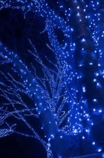 NCH-037 Гирлянда светодиодная катушка 50м, синий с пультом