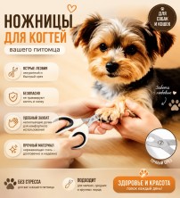 BR-019 Ножницы для кошек и собак,когтерез с безопасным лезвием, ножницы для стрижки когтей домашних животных