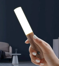 NL-025 Светильник Intelligent Induction Light