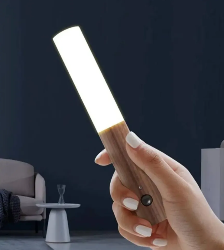 NL-025 Светильник Intelligent Induction Light